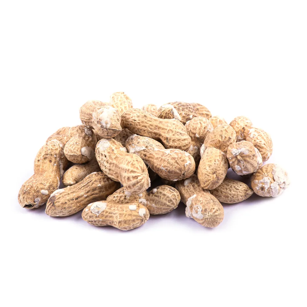 astaneh-roasted-peanuts-in-shell-barjil165-1