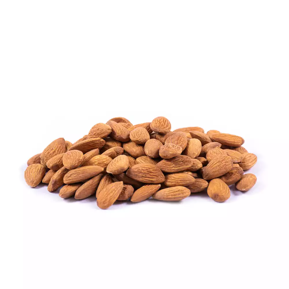 high-quality-raw-almond-kernels-barjil-174-1