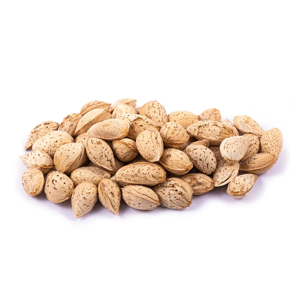 raw-iranian-mongha-almond-in-shell-barjil-29-1